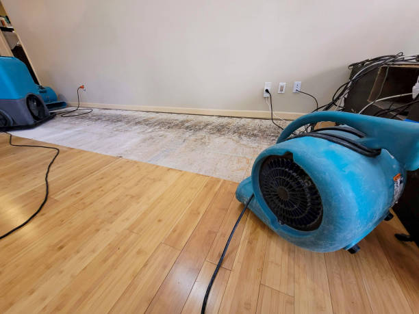 Professional Water Damage Repair technician working in Texas, TX